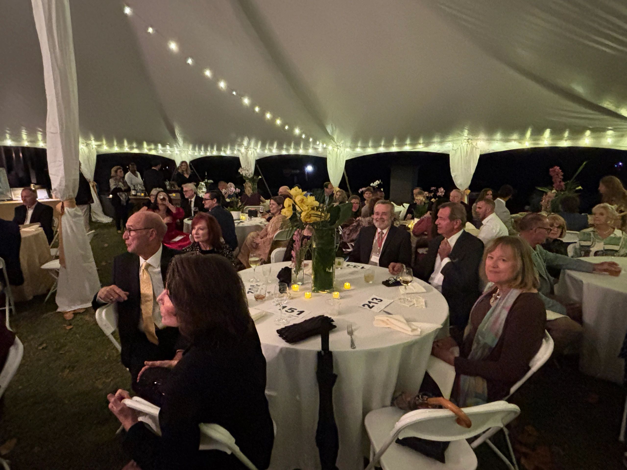 A Golden Evening Celebrates 50 Years of the Chowan Arts Council